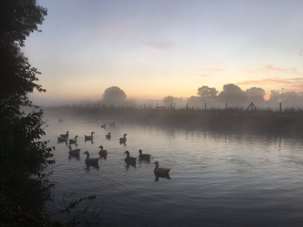 Amelisweerd in de mist - loop je zorgen uit je lijf Amelisweerd in de mist - loop je zorgen uit je lijf