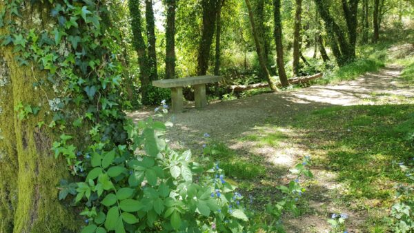 Wandelcoaching in de natuur - loop je zorgen uit je lijf Wandelcoaching in de natuur - loop je zorgen uit je lijf