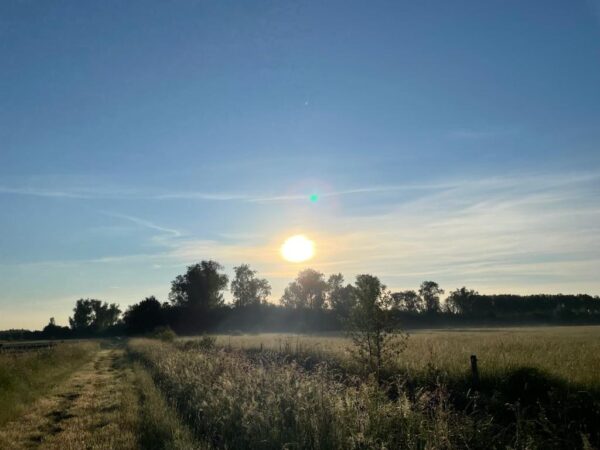 Loop je zorgen uit je lijf in de natuur Loop je zorgen uit je lijf in de natuur