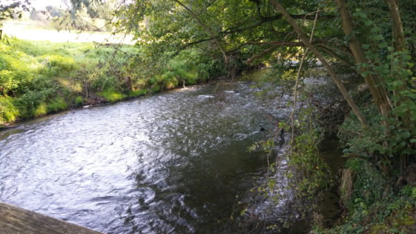 Wandelcoaching Aken Aat van der Harst
