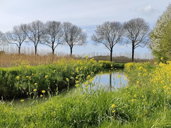 Wandelcoaching in de natuur