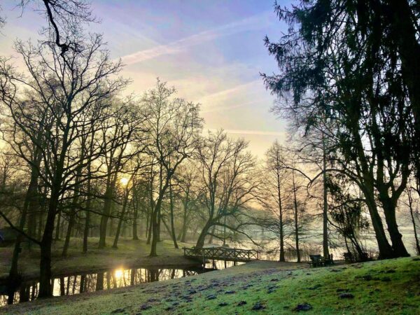 Wandelcoaching ochtendnevel natuur Wandelcoaching ochtendnevel natuur
