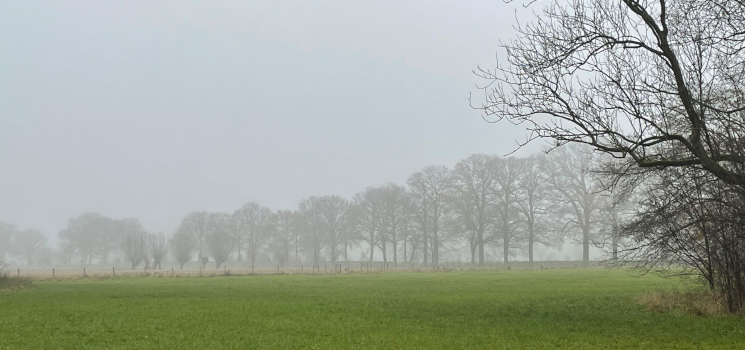Metaforen – Verwijlen in de mist Metaforen - Verwijlen in de mist