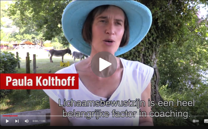Embodied Wandelcoaching Paula Kolthoff