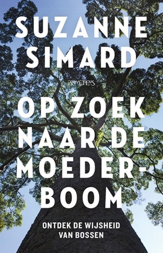 Op zoek naar de moeder boom