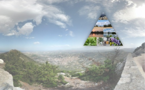 Wat is een natuurpiramide