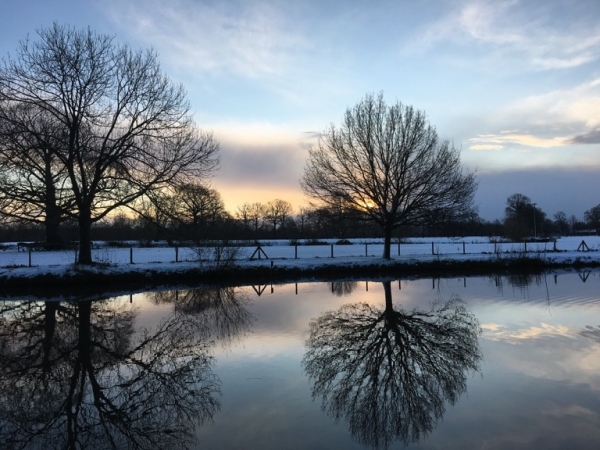 De kracht van stilte bij wandelcoachen, sneeuw Amelisweerd De kracht van stilte bij wandelcoachen, sneeuw Amelisweerd