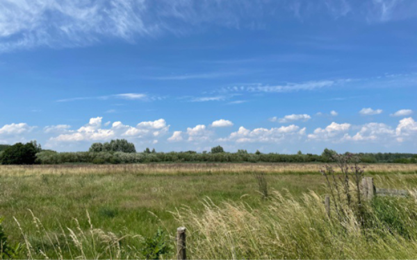 Wandelen is het nieuwe mediteren Wandelen is het nieuwe mediteren