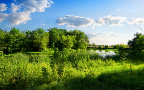 het perfecte wandelcoachgebied het perfecte wandelcoachgebied
