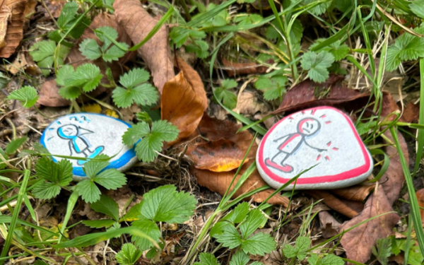 Systemisch coachen in de natuur