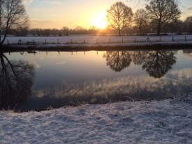 de 27 effecten die de natuur heeft op jou,