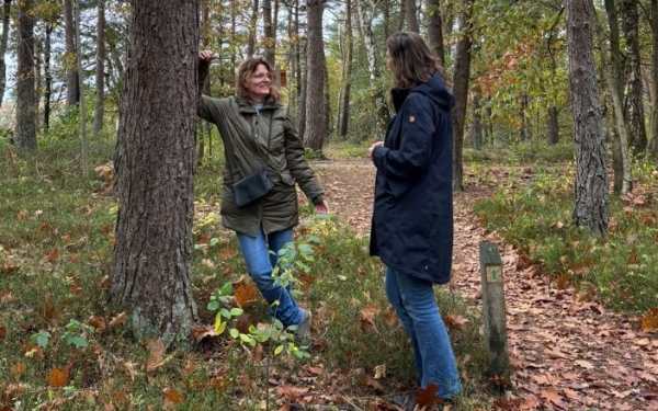 Goede wandelcoach worden Groepscoaching in de Natuur
