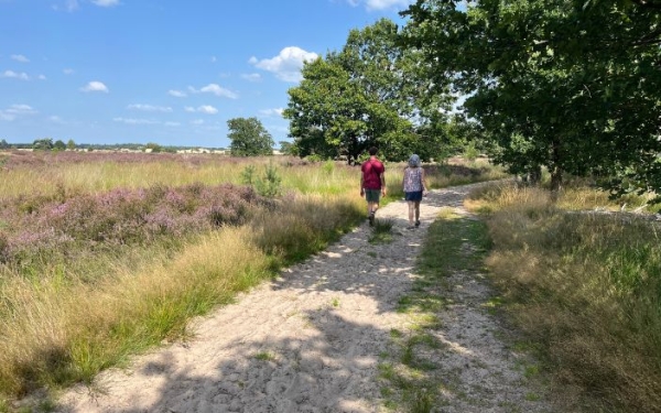 Wat leren in de wandelcoach opleiding