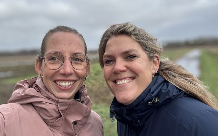 Wandelcoaching ggz