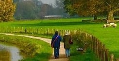 Opleiding Stress en Burn-out Coach