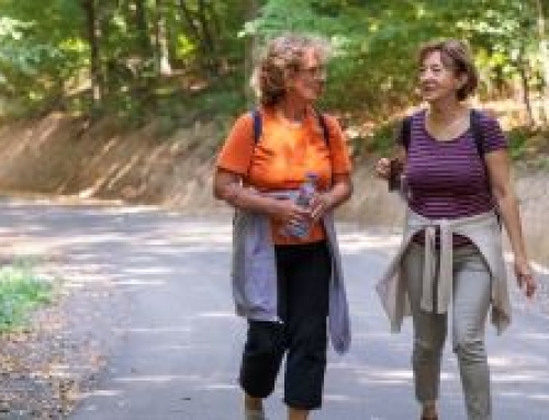 Gloednieuwe training! Wandelcoaching naar Vitaliteit en Gezonde leefstijl